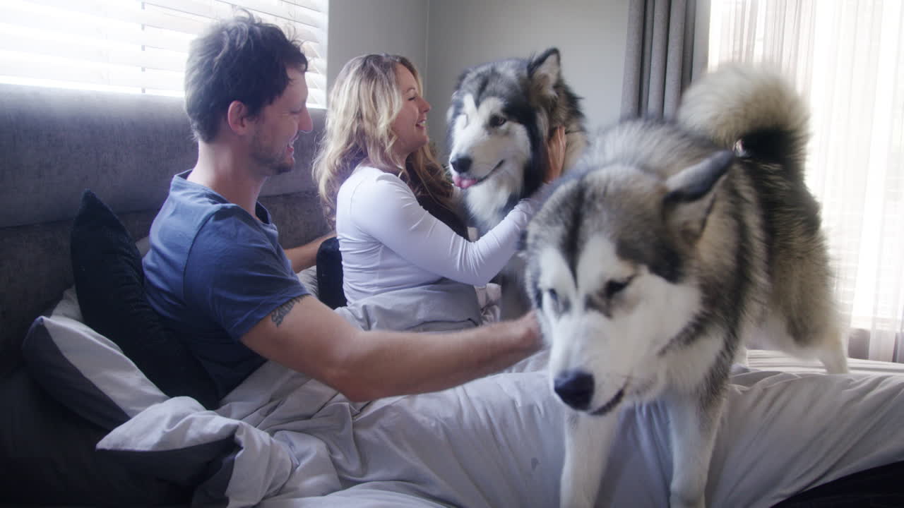 이것은 어느 날의 완벽한 시작입니다.