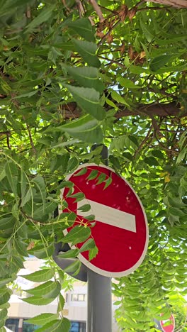 a traffic sign hidden behind the leaves of the trees