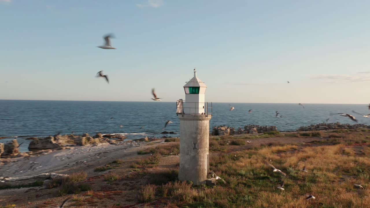 섬 에 있는 등대 는 수백 마리 의 해파리 들 이 날아다니고 있다