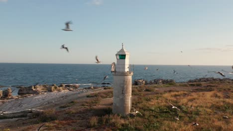 faro en una isla con cientos de gaviotas volando