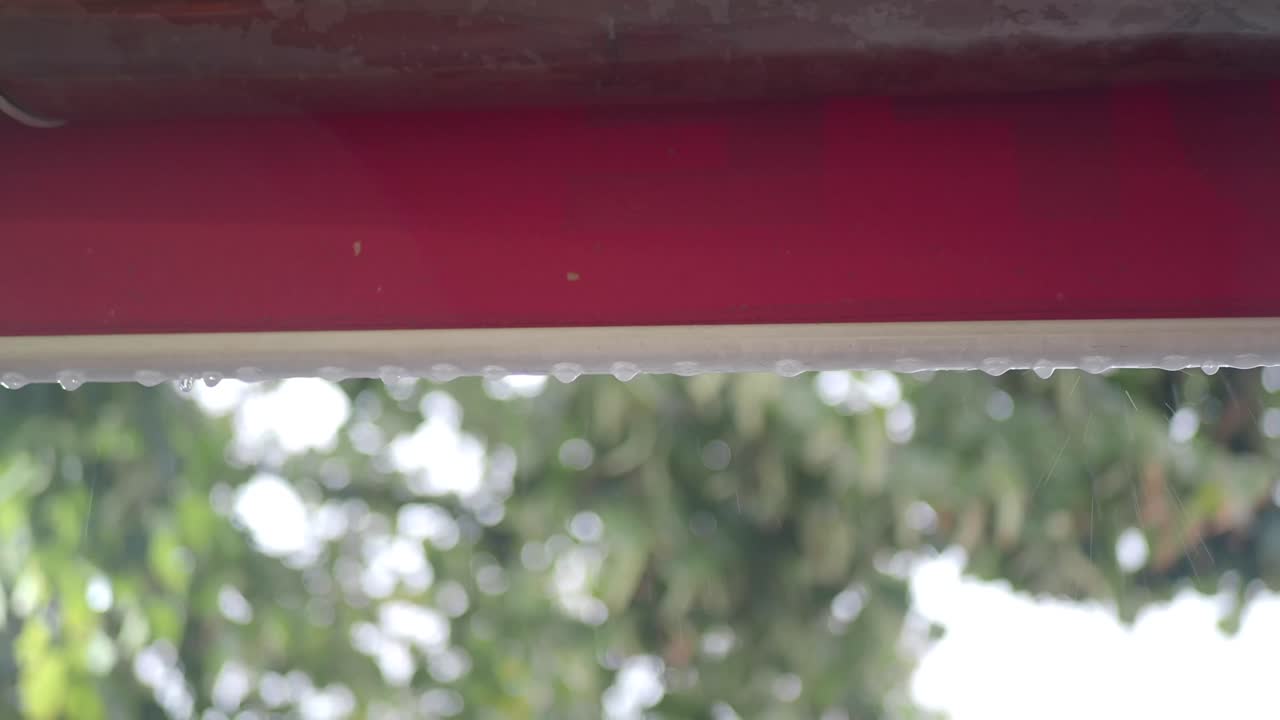 Rainwater dripping from a gutter