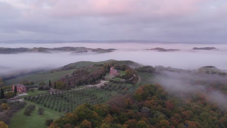 Ländliche-Toskanische-Landschaft-Mit-Landwirtschaftlicher-Plantage-Auf-Einem-Hügelrücken-Und-Mit-Nebel