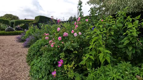 blooming flowers in a lush garden setting