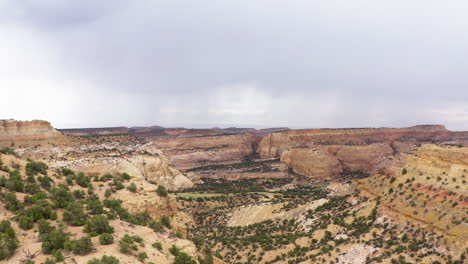 Moab,-Utah,-Aerial-view-of-Canyons-with-wildflowers