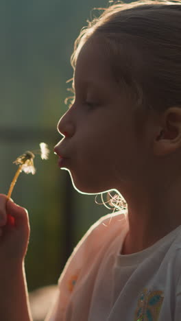 little kid blows dandelion against sunlight. calm girl rests in nature standing against setting sun side view on blurred background closeup. carefree childhood slow motion