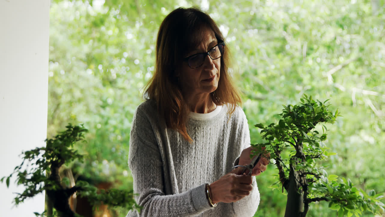 본자이 식물 의 잎 을  ⁇ 는 여자 4k