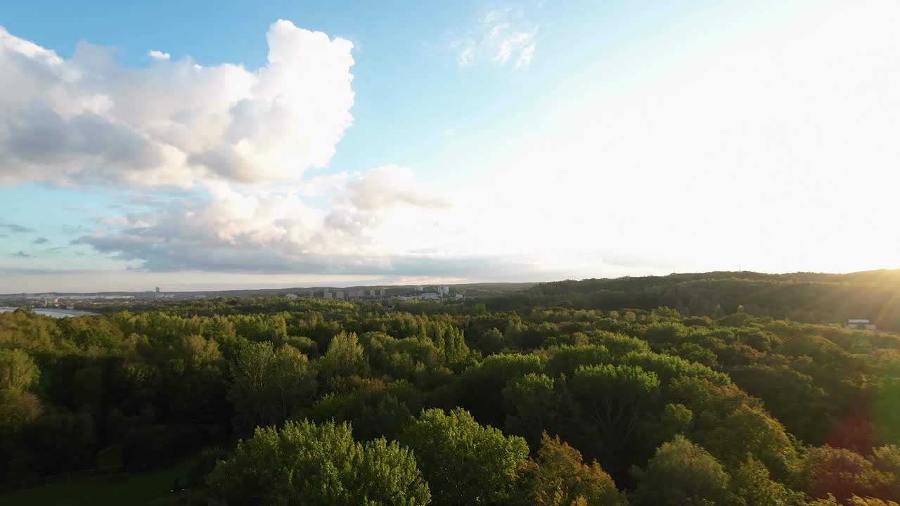 vuelo aéreo sobre los árboles del bosque otoñal en gdynia durante la puesta de sol con movimiento pan izquierdo