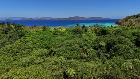 Drohnenaufnahmen-über-Dem-Dschungel-Auf-Einer-Tropischen-Insel-In-Der-Nähe-Von-Palawan-Auf-Den-Philippinen