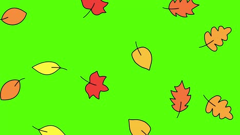 las hojas de otoño que caen de diferentes árboles. animación 4k. pantalla verde