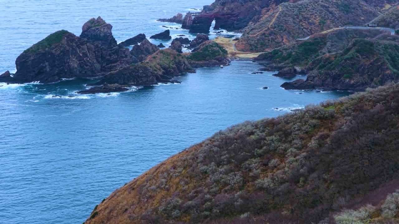 Shimane Wild Horses of Oki Islands, Aerial View Reveals Kuniga Coast