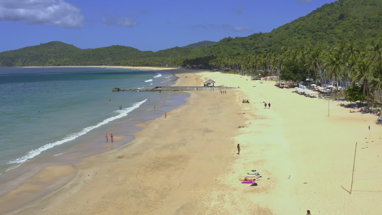 Aerial View of a Tropical Beach with Palm Trees, Mountains, and People Enjoying the Sun and Sea
