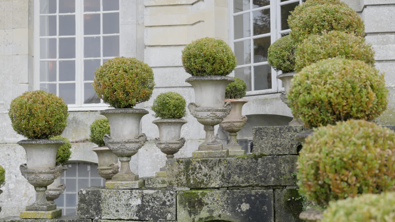 Ornate Stone Urns with Topiary Plants Adorning a Grand Staircase of a Historic Building