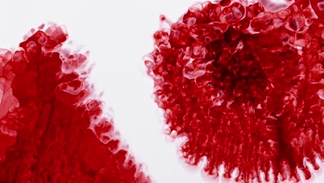 nube de tinta roja que se expande en agua clara, creando un patrón dinámico y abstracto, adecuado para fondos artísticos