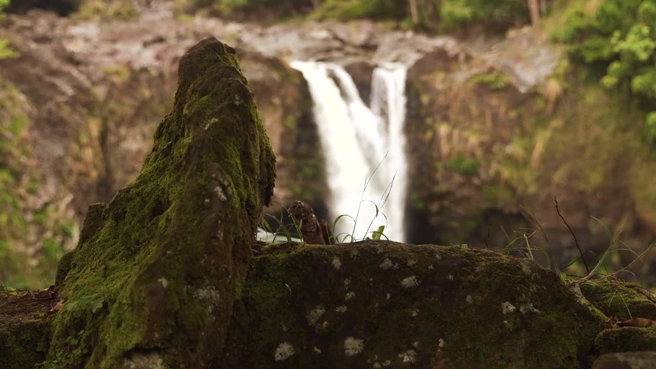 Hermosas cascadas tropicales.