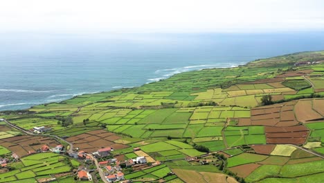 verdant agricultural lands of terceira island in azores, portugal