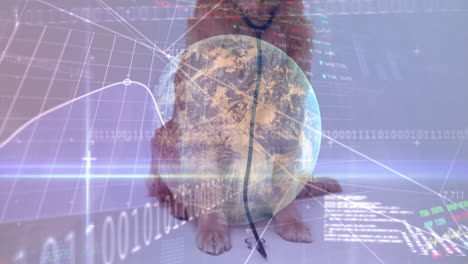 animación del procesamiento de datos y globo sobre perro