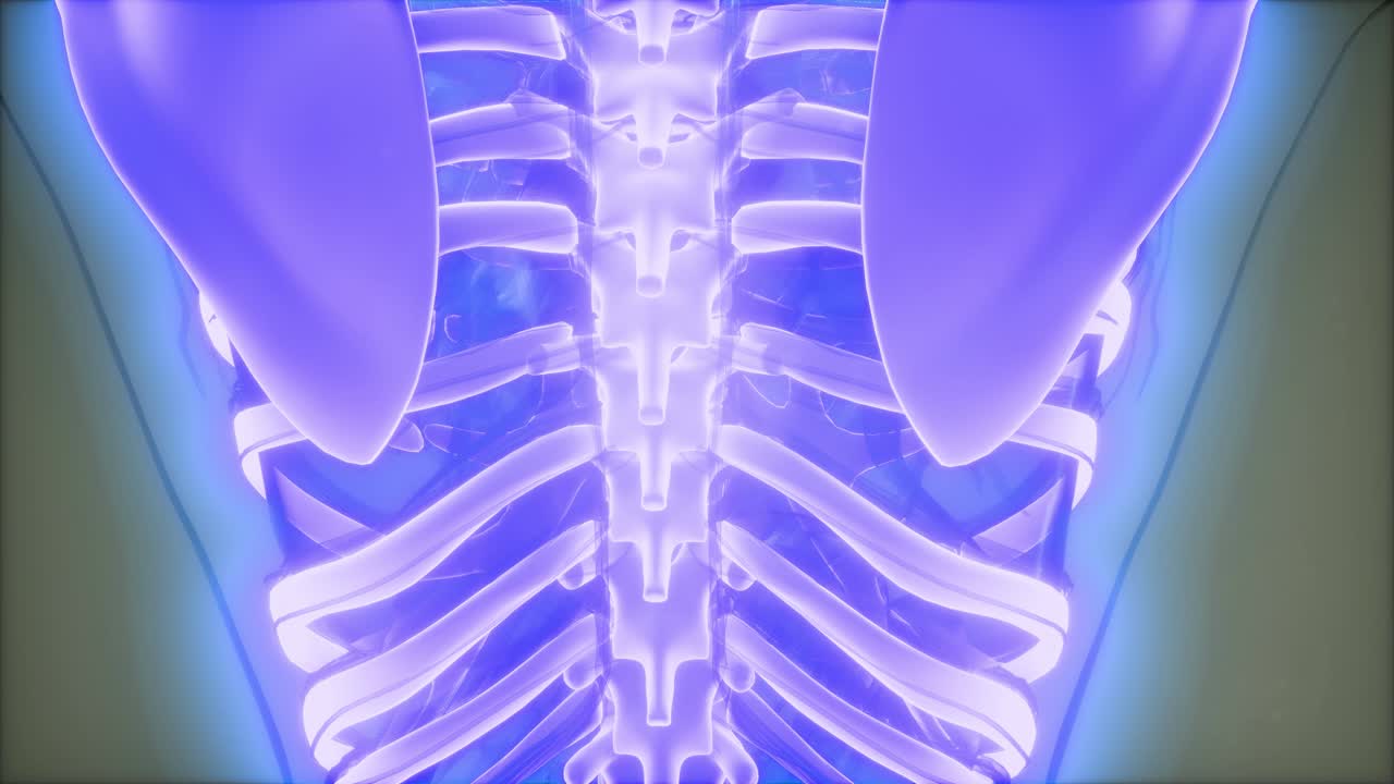 cuerpo humano transparente con huesos visibles