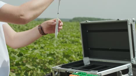 laboratory assistant conducting research on plants in the field