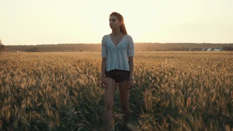 woman walking in a wheat field at sunset