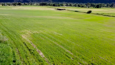 Slow-pan-up-drone-shot-of-a-mountain-in-Ouray-Colorado-in-front-of-a-green-grass-field