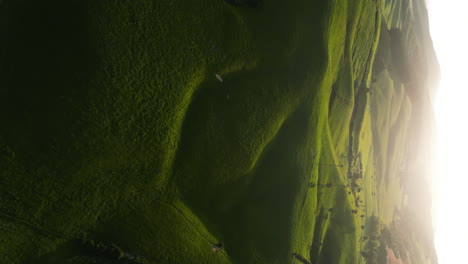 Stunning-rolling-hills-of-Dunsdale-area,-South-Island,-New-Zealand,-aerial-vertical-view