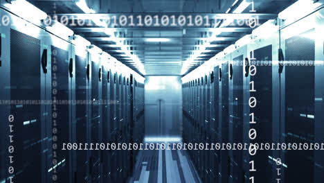 animación de servidores informáticos, codificación binaria y procesamiento de datos