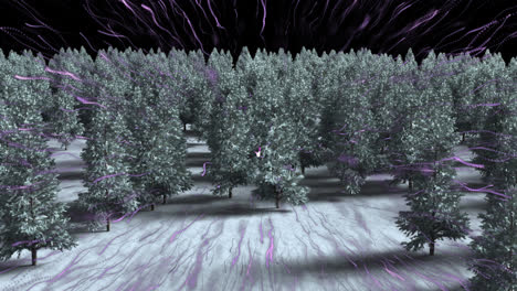 animation of light trails over fir trees