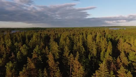 Aerial-of-a-lake-and-forest-in-Sweden