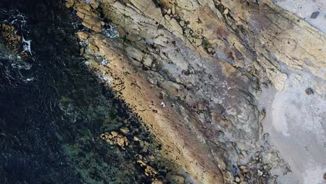 slow aerial drone pan overhead of lone person standing on rocky foreshore with ocean waves slowly rolling in over rocks to reveal path