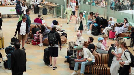 travelers and commuters bustling through the station