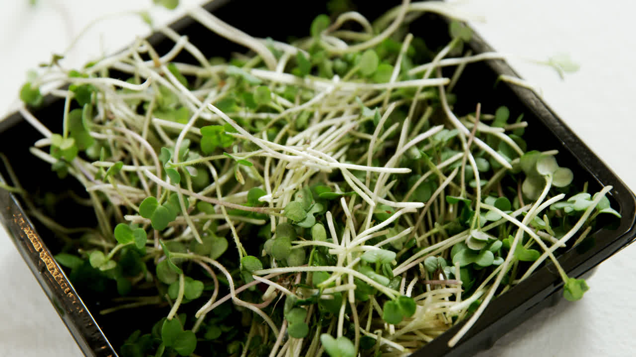 4k 그 ⁇  에 있는 페누그레크 잎