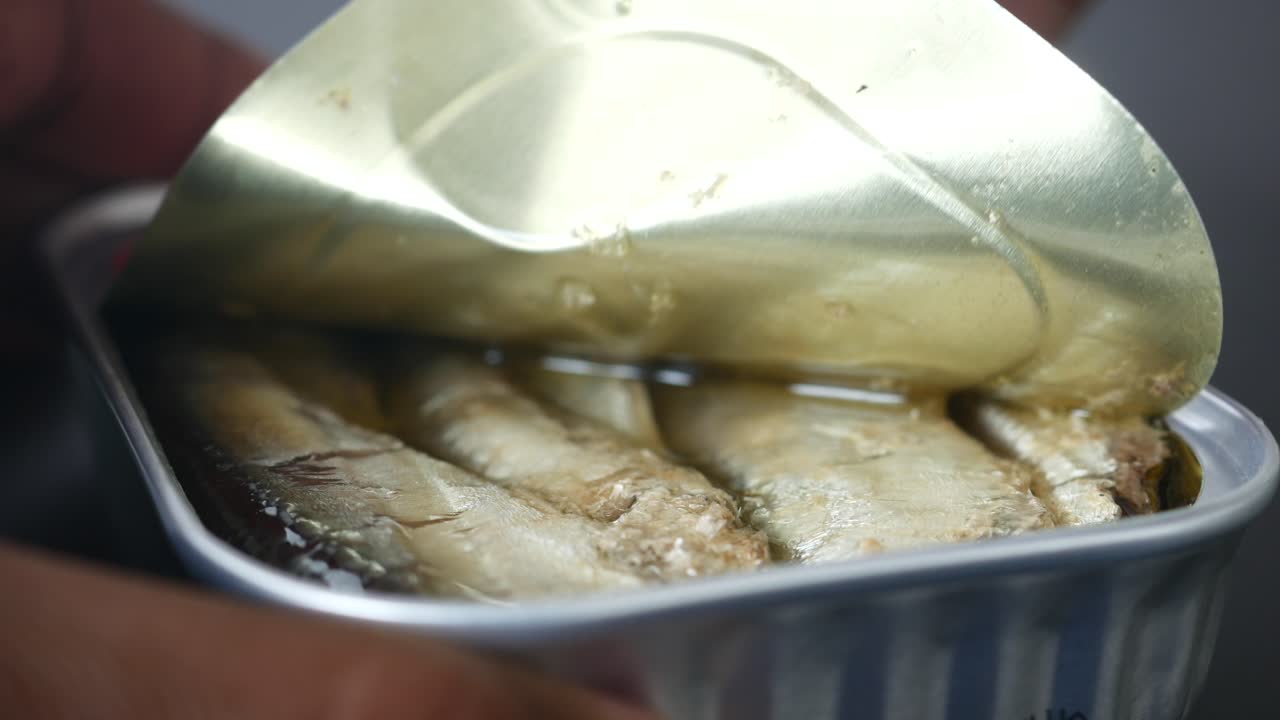 사르디네 통조림