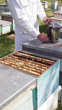 apiculturist on bees farm. colorful wooden beehives and bees in apiary