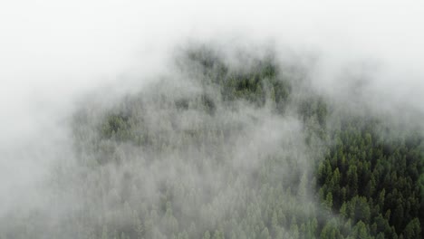 산에서 구름 경과