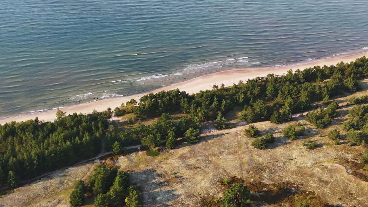 Long aerial pass over zoom in to Latvian coastline showing dunes, pine forest and sandy slopes near Pavilosta