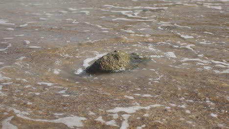 emotional waves passing slowly at rock in the sea, scene at 85mm, centered rock