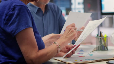 elderly people exploring a detailed pension plan with financial advisor