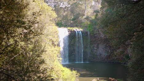 Wunderschöner-Landschaftsclip-Des-Wasserfalls-Dangar-Falls-In-New-South-Wales,-Australien