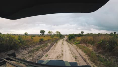 viaje rápido y polvoriento en jeep safari temprano en la mañana en áfrica en dirección a descubrir la vida silvestre.