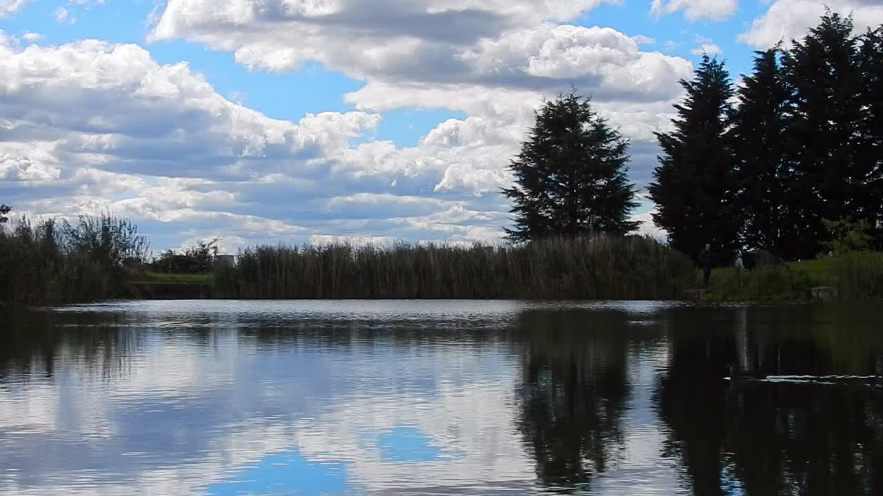 青い湖の水面を泳ぐ鳥、鏡のような水面に映る明るく美しい曇り空
