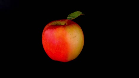 la manzana orgánica rojo-amarilla gira lentamente sobre un fondo negro.