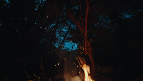 night forest scene with sparks flying from a gentle campfire