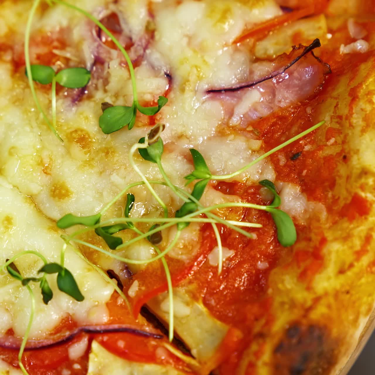 Appetizing pizza. Delicious pastry with bacon, onions, tomatoes and melted cheese. Green sprouts on ready pizza in the restaurant. Macro shot