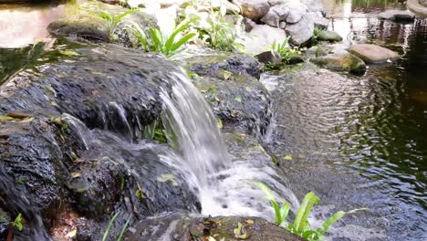 cascading waterfall over rocks into a peaceful pond