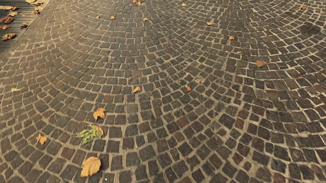Autumn leaves scattered on cobblestone pavement