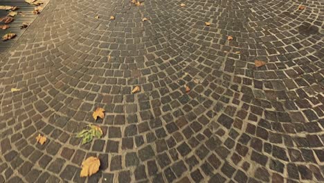 autumn leaves scattered on cobblestone pavement