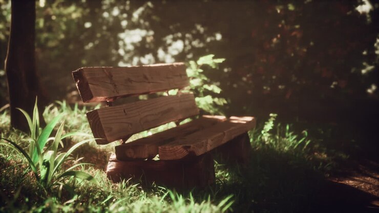 Wooden Park Bench in a Forest