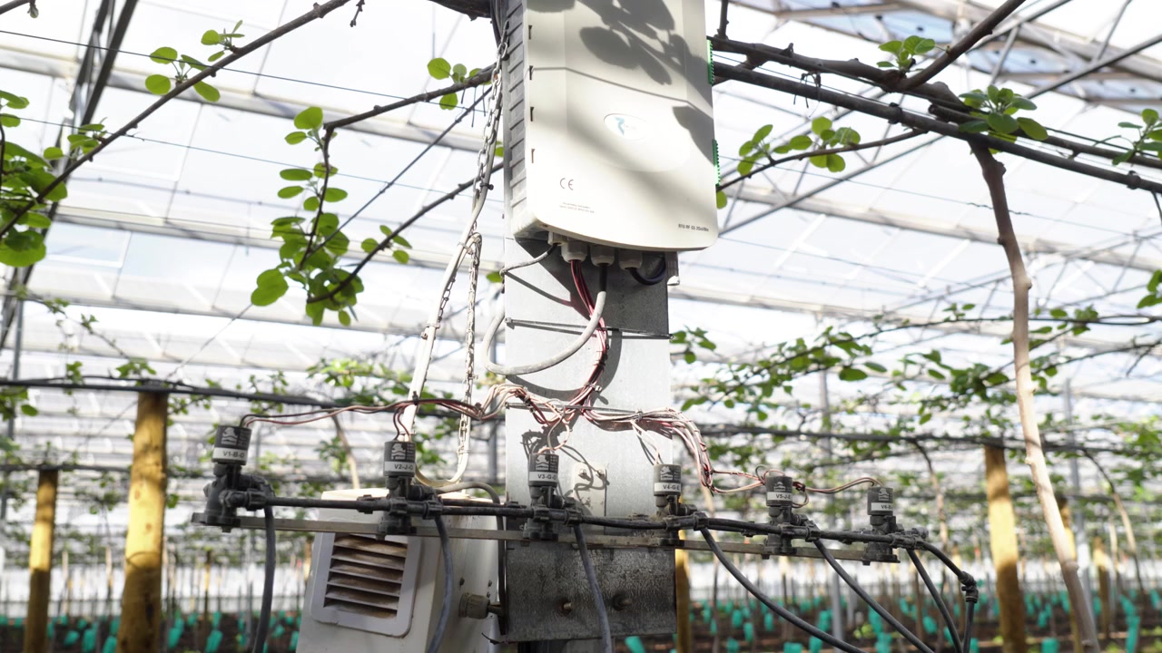 Halbnahe Einstellung eines automatischen Bewässerungssteuerungskastens und von Magnetventilen, die an einer Säule in einem kommerziellen Kiwi-Gewächshaus montiert sind.