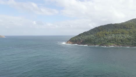 Open-Forest-At-Mount-Yacaaba-In-Hawks-Nest