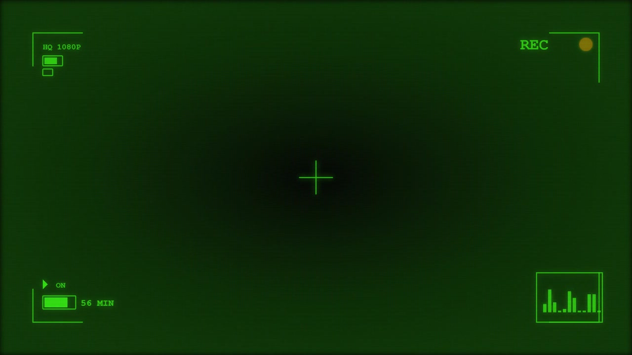 Digital Camera Viewfinder Interface with Recording Overlay